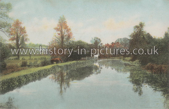 The River, Witham, Essex. c.1906
